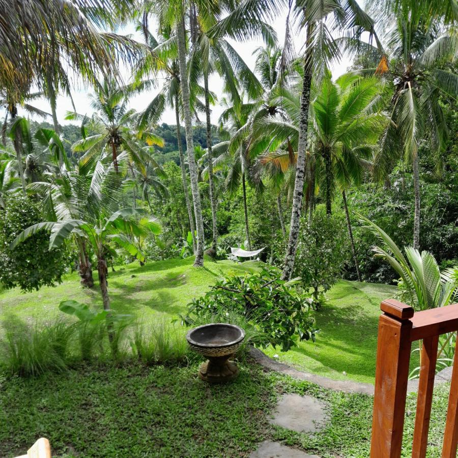 Wooden House Hotel Payangan Buitenkant foto