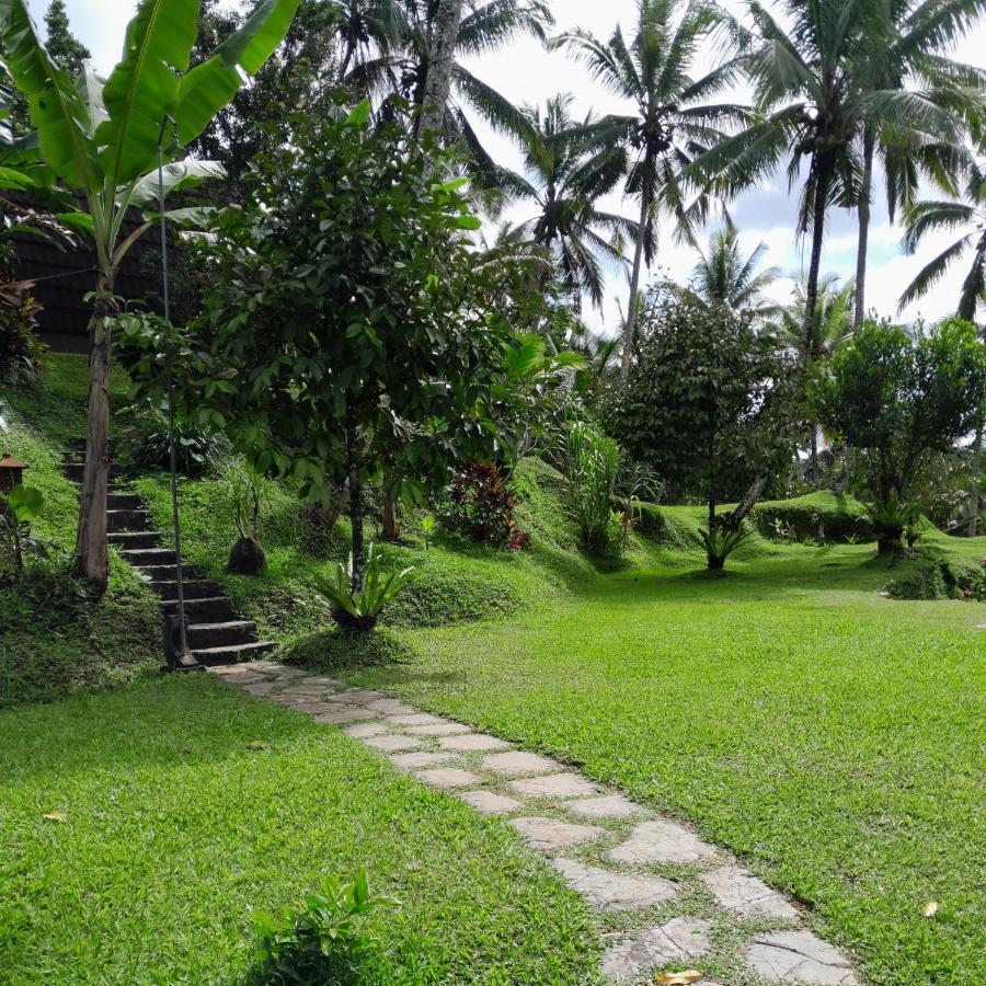 Wooden House Hotel Payangan Buitenkant foto
