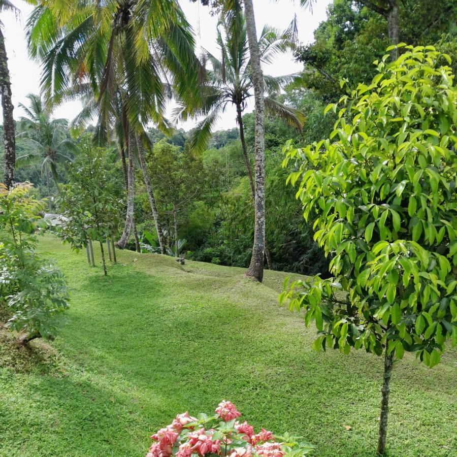Wooden House Hotel Payangan Buitenkant foto